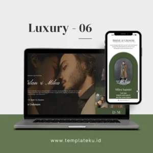 Tema Luxury 6